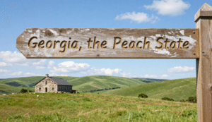 georgia nickname